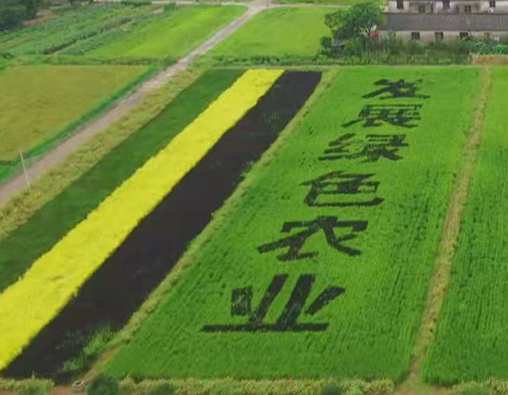 yy易游平台:谢旗：种好高粱酿美酒