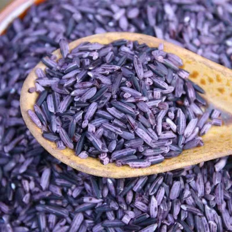 yy易游平台:奋楫冰城 向新而行｜黑土“芯”动能：哈尔滨现代农业的破局与跃升